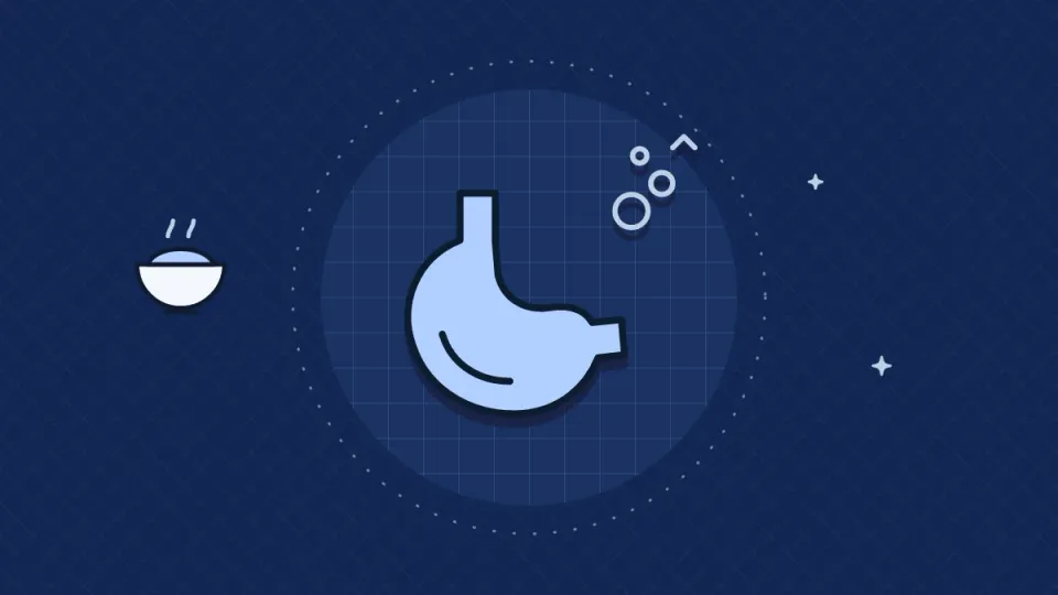 Asam lambung naik: gejala, pemicu, dan kapan ke dokter — Ilustrasi bentuk lambung yang sederhana dengan gelembung kecil naik di dalam lingkaran berpetak, dengan mangkuk di kiri.